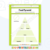 Green-Food-Pyramid-Worksheet_banner-2