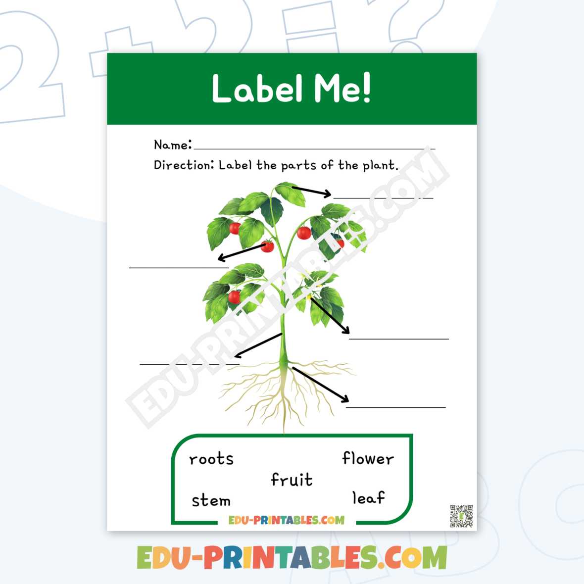 Worksheet – Plant Parts: Discover the Wonders of Nature!