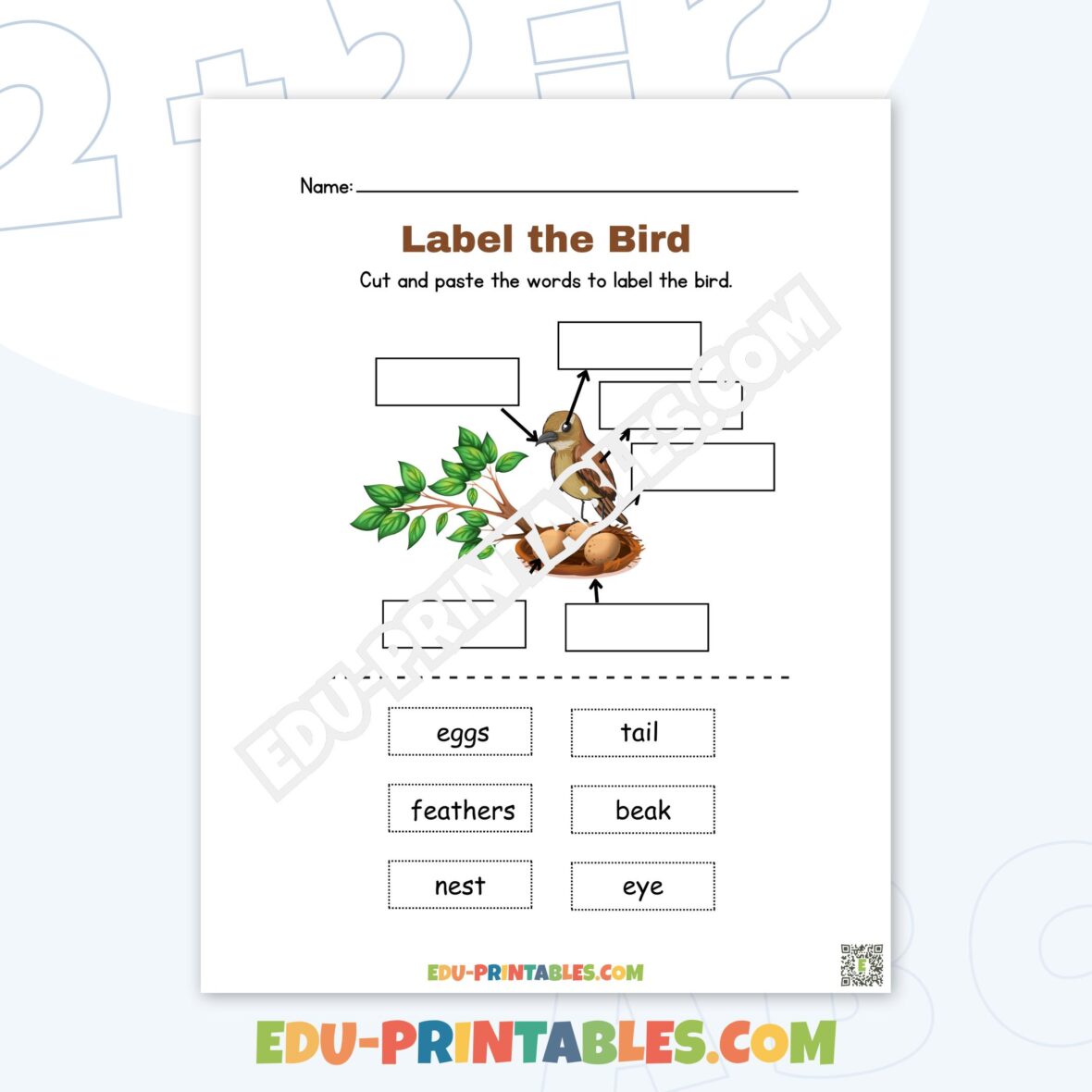 Worksheet – Bird Anatomy: Label and Learn with Fun Cut and Paste Activities