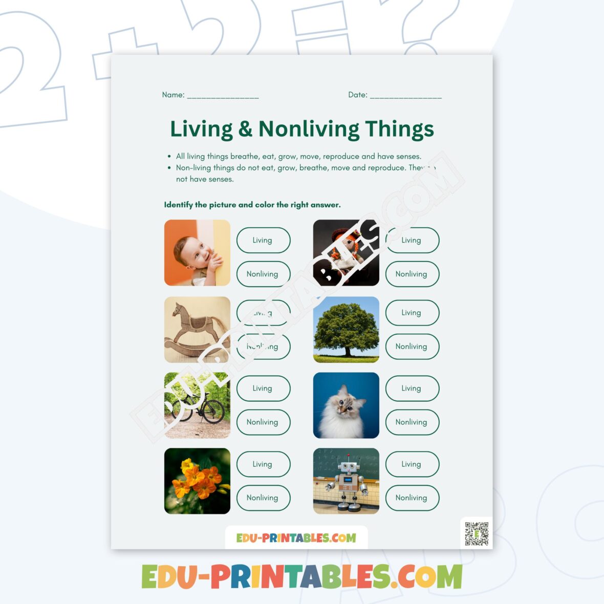 Worksheet – Living & Nonliving Things: Discover What’s Alive!